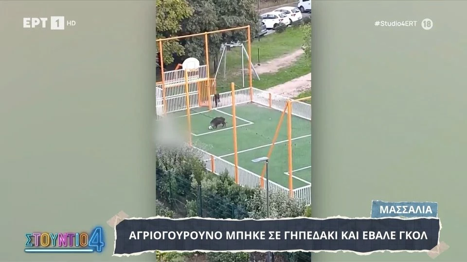 Γαλλία: Αγριογούρουνο εισέβαλε σε γήπεδο και πέτυχε… γκολ! (βίντεο)