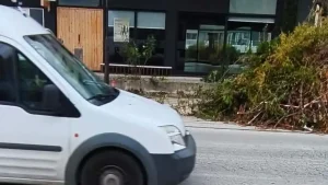 Κομμένα κλαδιά κλείνουν το πεζοδρόμιο κοντά στο 3ο Δημοτικό Σχολείο Ανατολής – Διαμαρτυρία γονέων δύο μήνες μετά τον τραυματισμό μαθήτριας