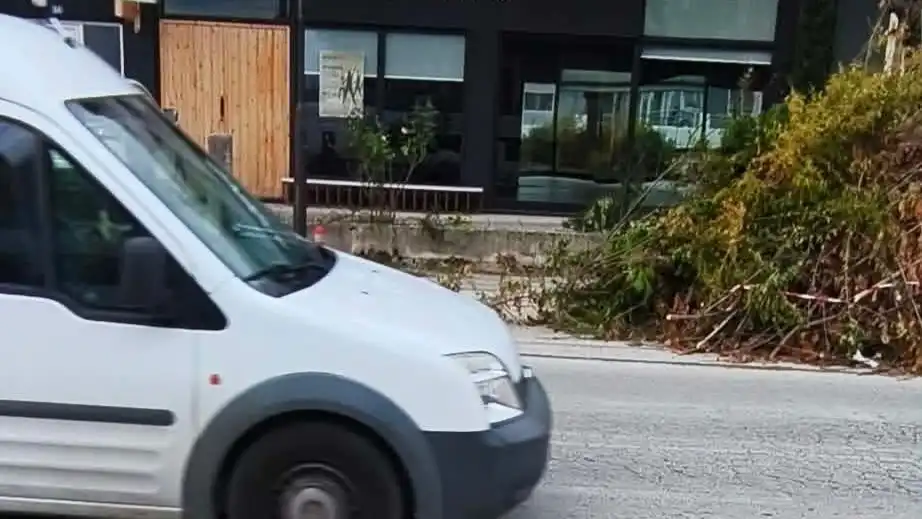 Κομμένα κλαδιά κλείνουν το πεζοδρόμιο κοντά στο 3ο Δημοτικό Σχολείο Ανατολής – Διαμαρτυρία γονέων δύο μήνες μετά τον τραυματισμό μαθήτριας
