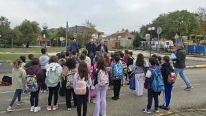 Πάρκο Κυκλοφοριακής Αγωγής Πωγωνίου: 45 μαθητές τον ΚΟΚ οδηγώντας ηλεκτρικά οχήματα