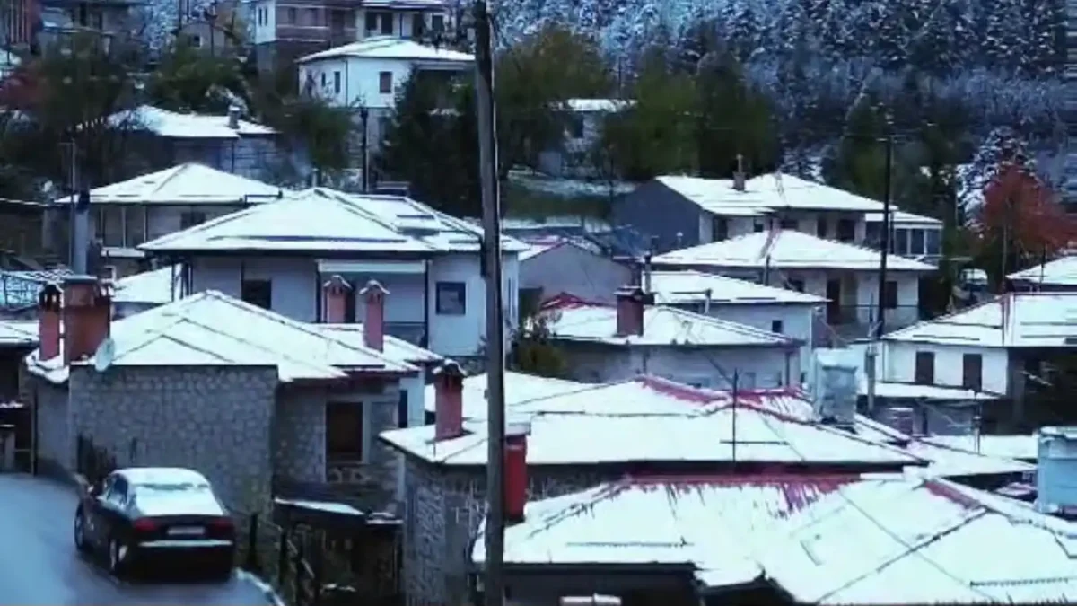 Άσπρισαν οι σκεπές στη Μηλιά (βίντεο)