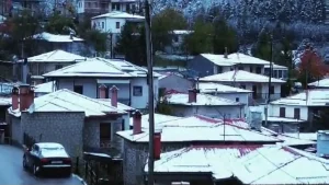 Άσπρισαν οι σκεπές στη Μηλιά (βίντεο)