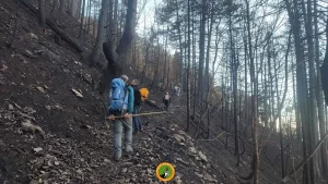 Κόνιτσα: Προβλήματα στο μονοπάτι της Τραπεζίτσας μετά τη μεγάλη πυρκαγιά – Προσοχή στους πεζοπόρους