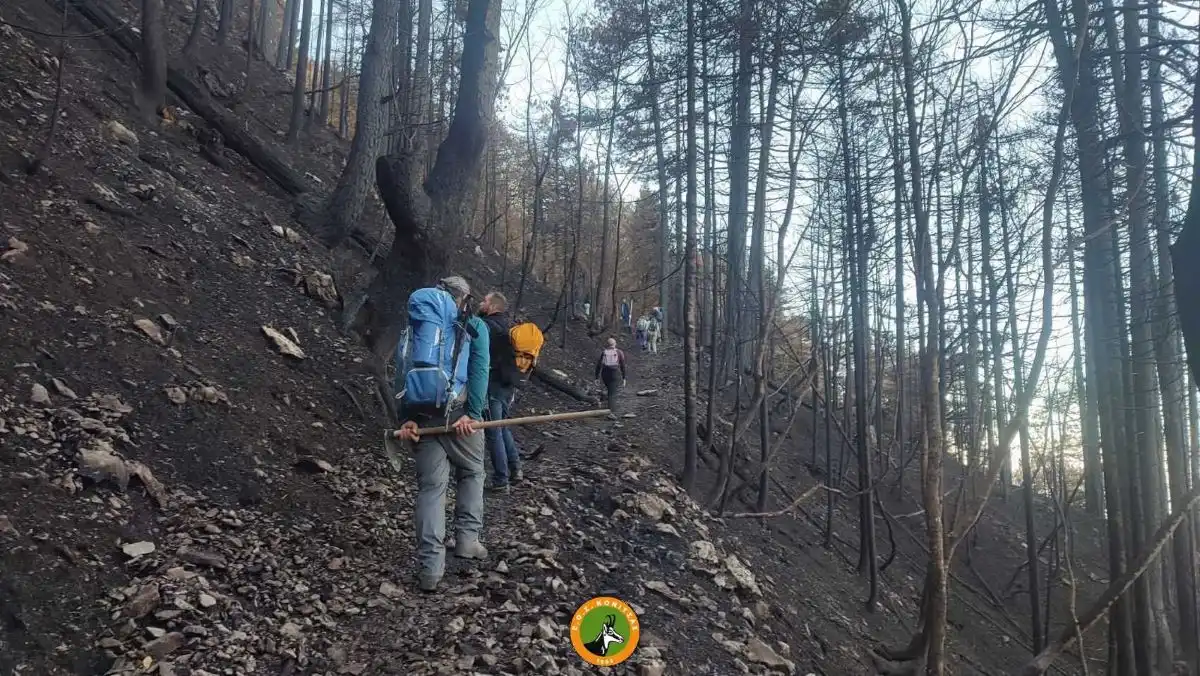 Κόνιτσα: Προβλήματα στο μονοπάτι της Τραπεζίτσας μετά τη μεγάλη πυρκαγιά – Προσοχή στους πεζοπόρους