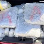 Ιωάννινα: 70 κιλά κάνναβης από τη Θεσπρωτία – Το «μπλόκο» στη Δωδώνη και η αξία των 210.000 ευρώ