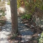 Ιωάννινα: Βάτα και σπασμένες πλάκες στο πεζοδρόμιο της οδού Κύργιου