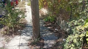 Ιωάννινα: Βάτα και σπασμένες πλάκες στο πεζοδρόμιο της οδού Κύργιου