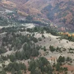 Μέτσοβο: Σήμερα στο ΠΕΣΠΑ Θεσσαλίας, η υπόθεση των πέντε ανεμογεννητριών στο δάσος Σδριγιάνη (βίντεο)
