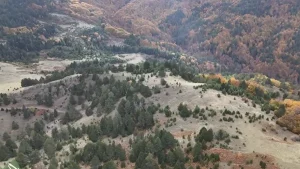 Μέτσοβο: Σήμερα στο ΠΕΣΠΑ Θεσσαλίας, η υπόθεση των πέντε ανεμογεννητριών στο δάσος Σδριγιάνη (βίντεο)